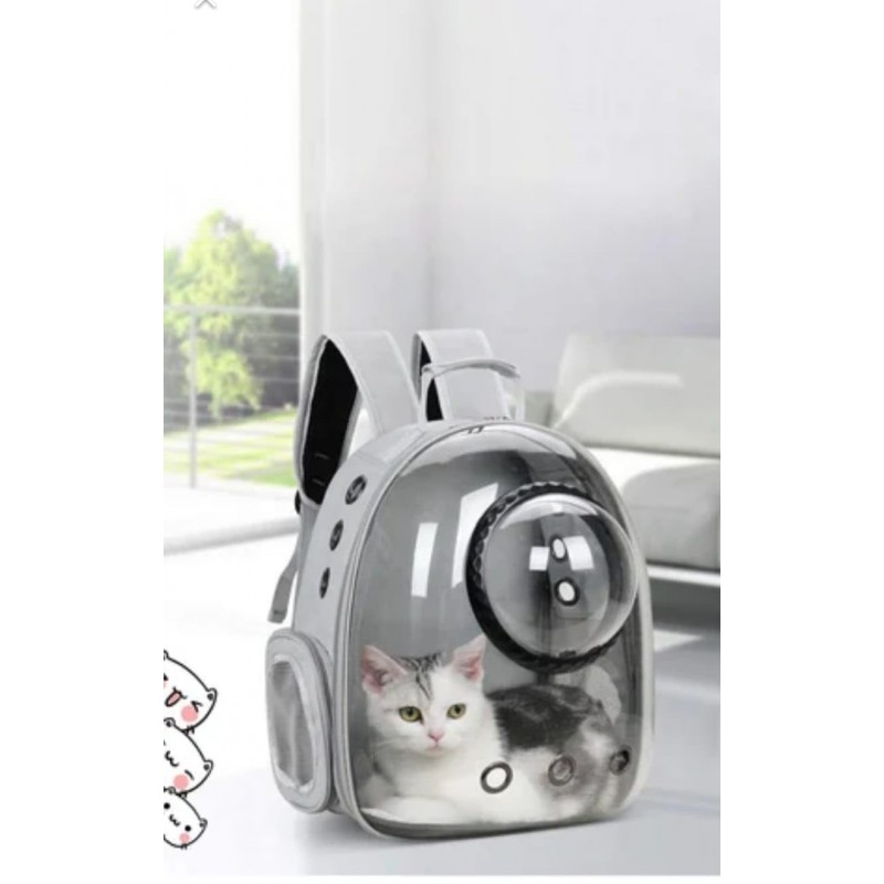 Sac à dos de transport transparent pour animaux de compagnie Homecloud - pour les voyages, la randonnée, conçu avec un espace