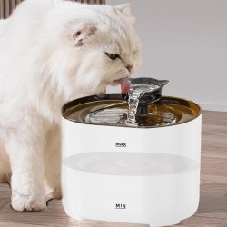 Cat water bowl
